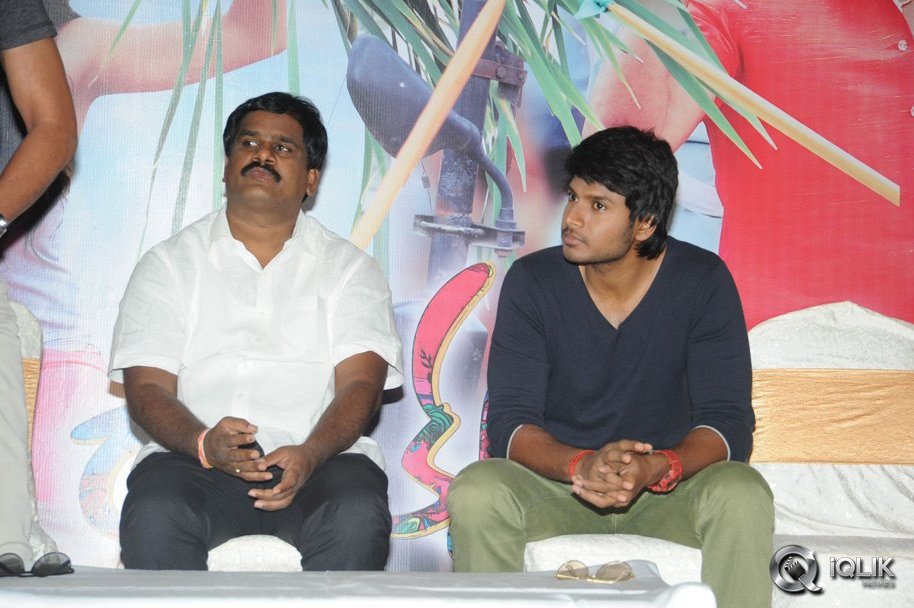 Ra-Ra-Krishnayya-Movie-Success-Meet
